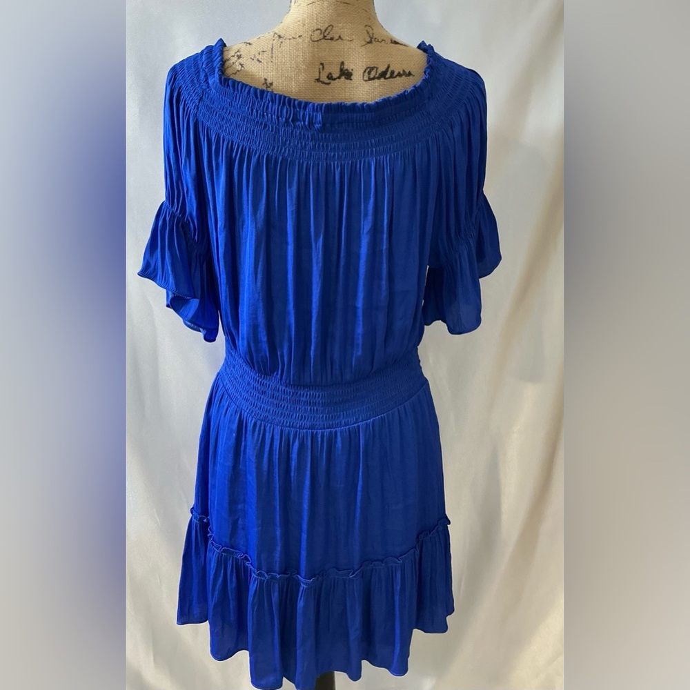 Naked Zebra Blue Midi Dress